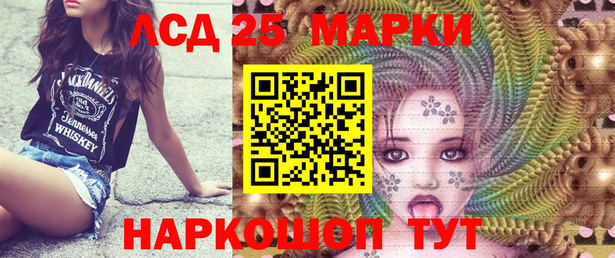 Новодвинск  Наркотические марки  Наркотические марки 1500мкг  Вход с VPN  закладка  Наркотические марки 1500мкг 