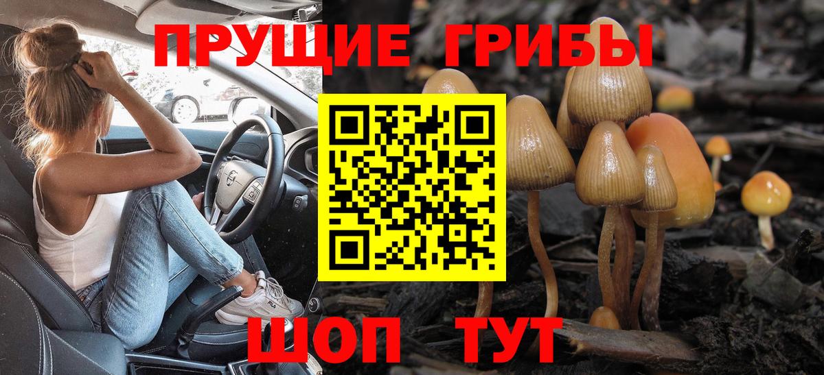 Новодвинск  Галлюциногенные грибы Magic Shrooms  Вход с VPN 
